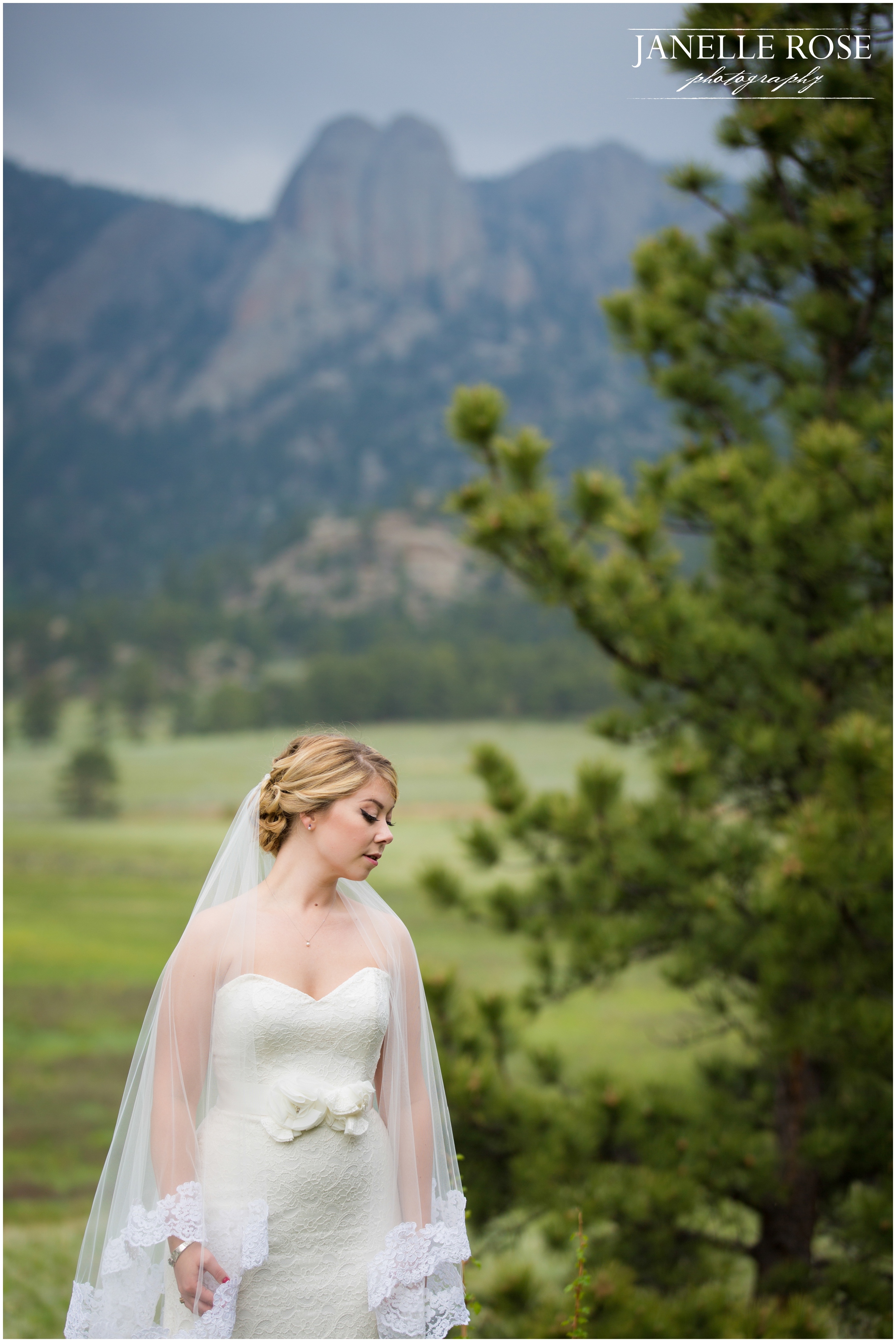 Estes Park Black Canyon Inn Wedding