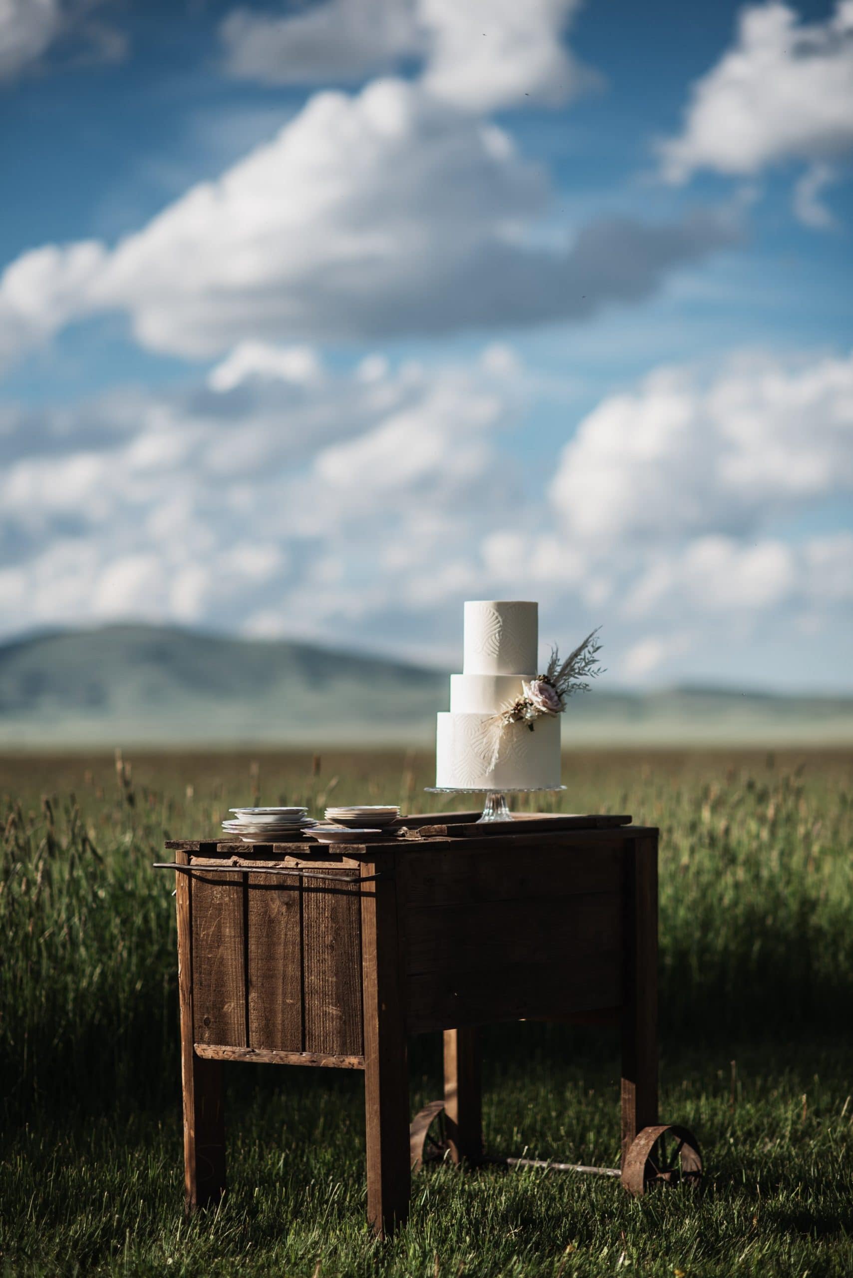 Cake in field at deer wood ranch