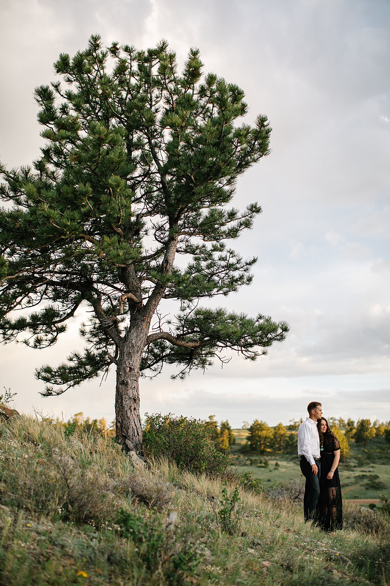 engagement session in mountains, couple by large tree